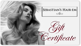 Gift certificate Sebastian Hair-em NJ